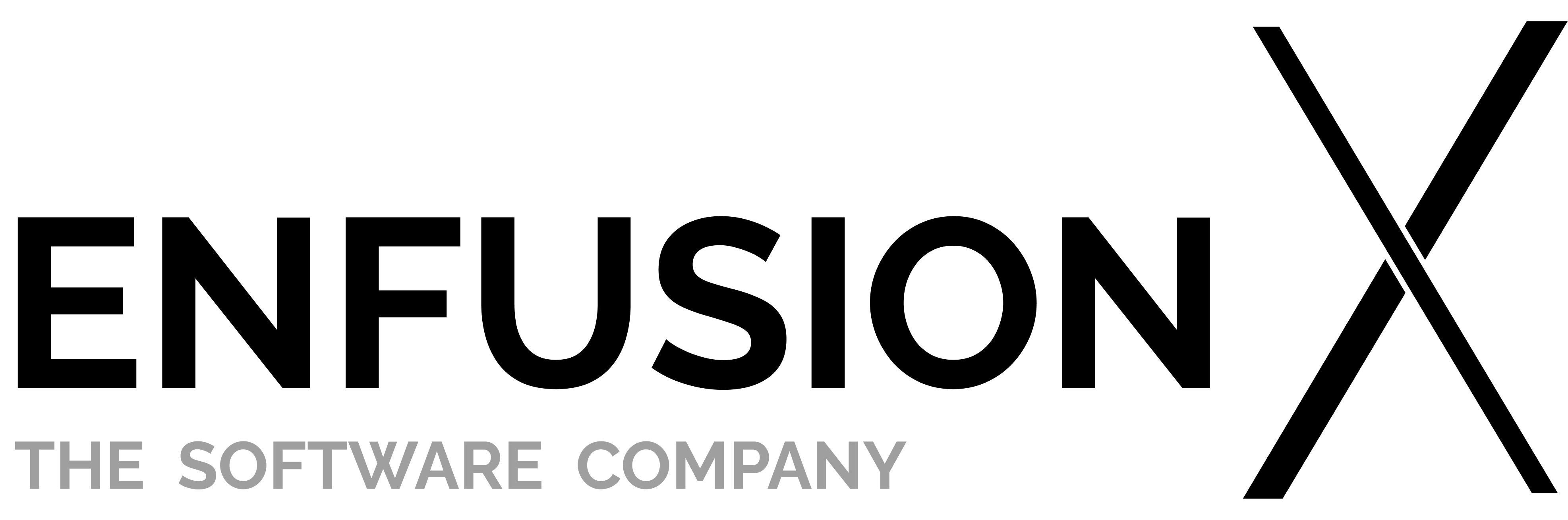EnfusionX Logo